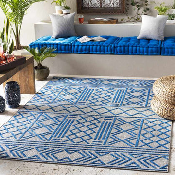 Leinforkan Bohemian/Global Area Rug